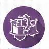 Strategy icon